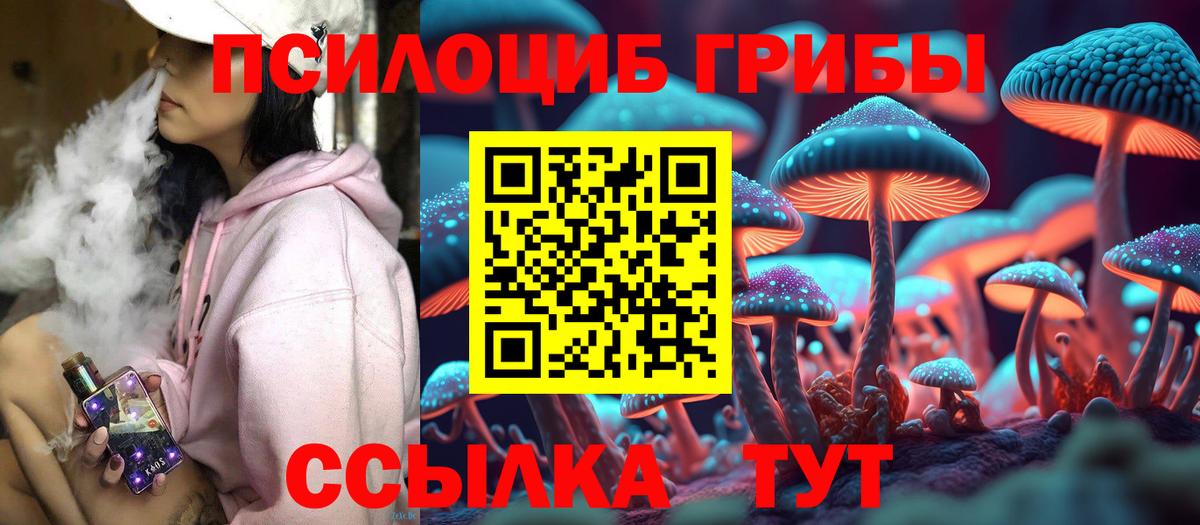Псилоцибиновые грибы мицелий Кувандык