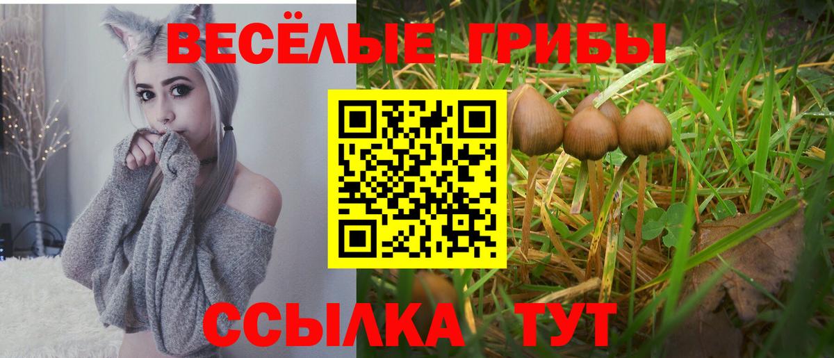 Кувандык  Галлюциногенные грибы MAGIC MUSHROOMS  Вход с VPN 
