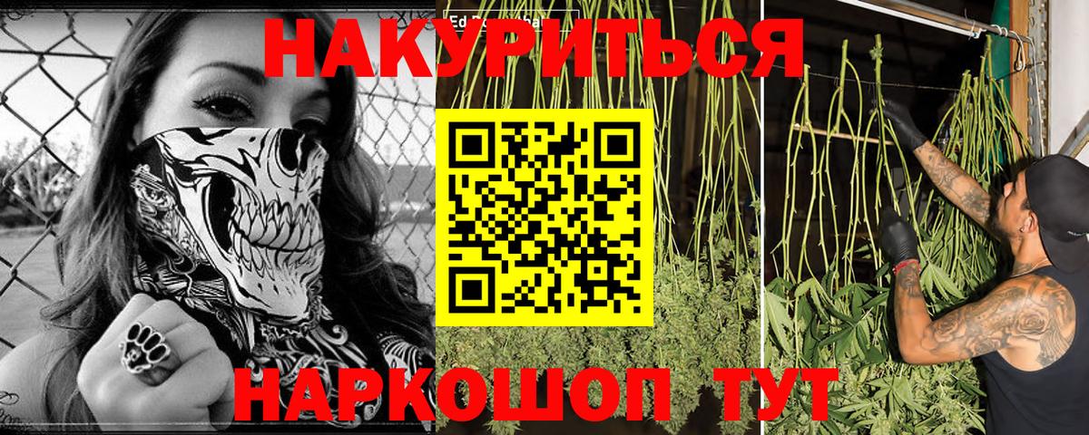 Бошки Шишки индика Кувандык